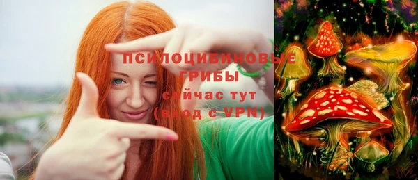 мдпв Медногорск
