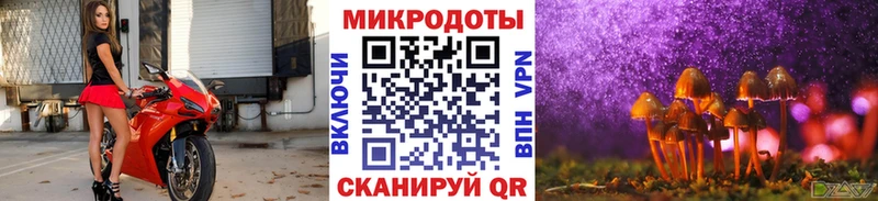 Псилоцибиновые грибы мицелий  Малоархангельск 